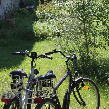 Kleine In Mit Garten, Cleaning Included Appartement Steffenshagen